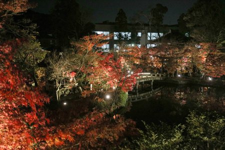 秋天季节在晚上的 eikando 寺庙