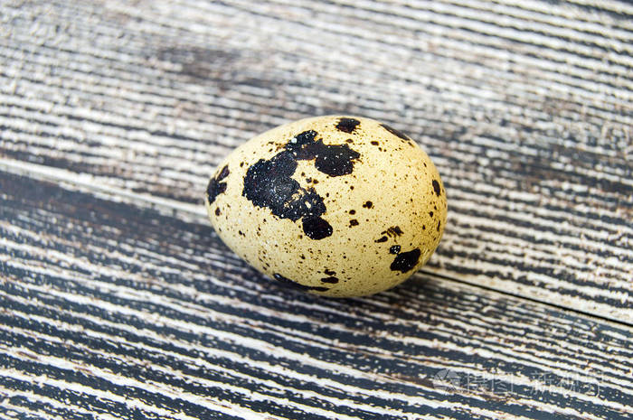 木地板上只有一个鹌鹑蛋
