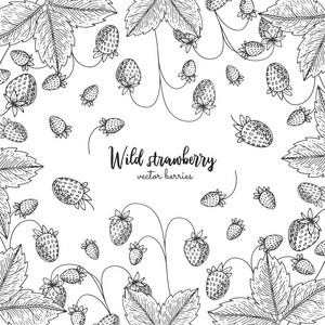 手绘插图的野生草莓孤立在白色的背景。浆果雕刻风格插图。详细的框架与浆果。适用于菜单传单标签海报印刷品包装
