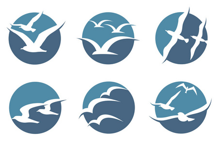海鸥logo素材图片