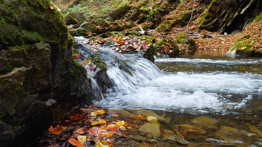 秋日森林中的山河在令人惊叹的晴天