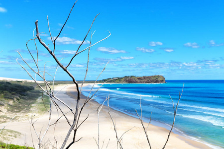 在澳大利亚，怀特森德岛的海滩，树和岩石