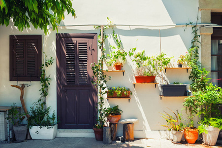 房子院子里的花照片