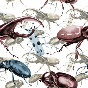 一种水彩风格的奇异甲虫野生昆虫图案
