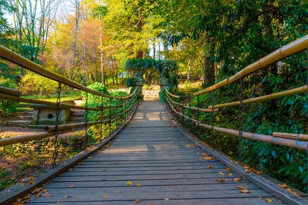 在俄罗斯索契植物园的吊桥图片