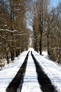 白雪皑皑的冬季道路穿过森林