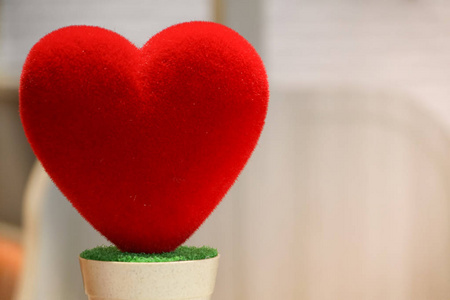 爱红色的心在壶, 柔软和可爱, 情人节概念