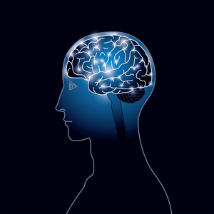 脑电信号图像.照片