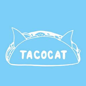 Tacocat 在蓝色背景下为动物爱好者绘制的刻字短语。有趣的画笔墨水矢量插图横幅, 贺卡, 海报设计