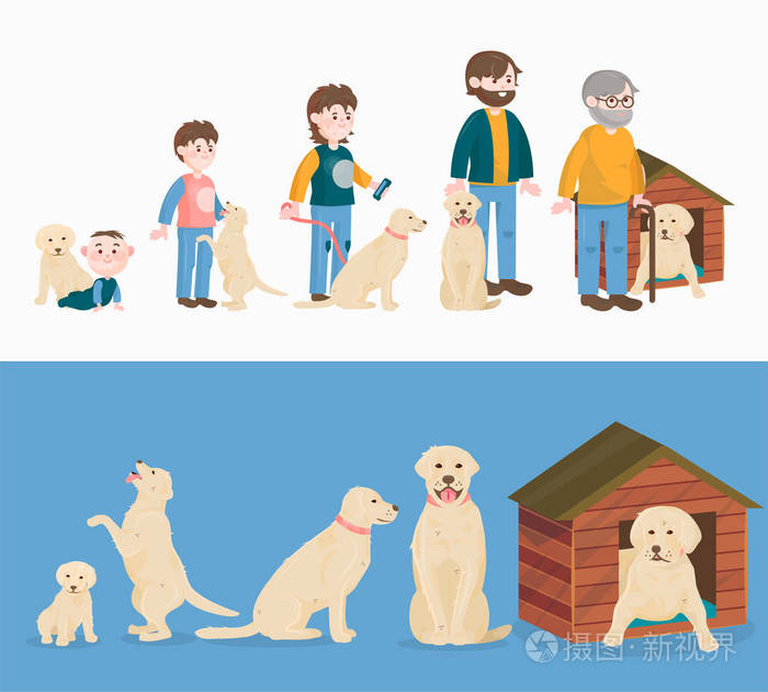 儿童生长载体狗的生长和衰老概念从婴孩或小狗到老人或老宠物字符例证