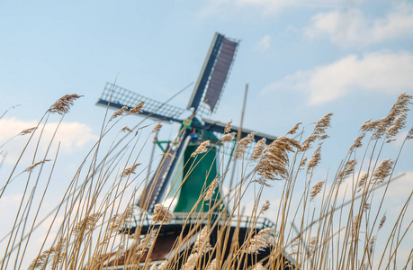 荷兰风车在干草