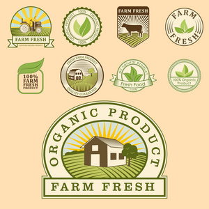 生物农场有机生态健康食品模板和餐厅菜单或包徽章的老式素食绿色颜色矢量图
