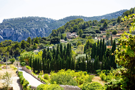 城市 Valldemossa 与传统花卉装饰, 著名的老地中海村马略卡岛。西班牙, 意大利, 马略卡岛