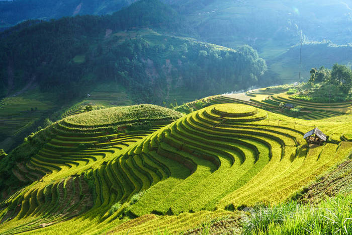 稻田旅游景点图片