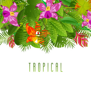 绿色夏季热带背景与异国情调的棕榈叶和植物。矢量花卉背景