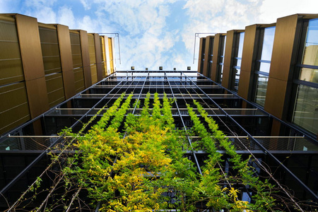 绿色办公楼图片