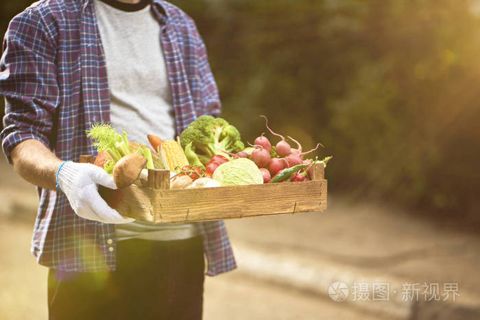 年轻人拿着健康有机蔬菜的木箱，模糊了夏天公园的背景
