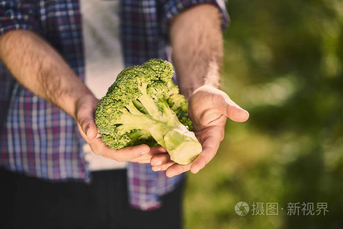 农民手戴手套，手拿刚收获的蔬菜