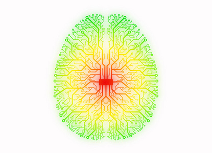 大脑形式的印刷电路