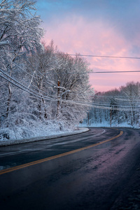 冬天白雪覆盖的树木之间的道路