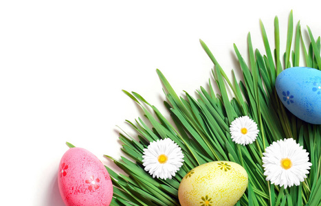 复活节画鸡蛋与雏菊在新鲜的绿色草