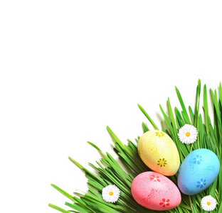 复活节画鸡蛋与雏菊在新鲜的绿色草