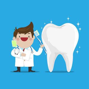 牙医展示如何用透明的白色健康牙齿在孤立的蓝色背景上刷牙。 简单的平面矢量。