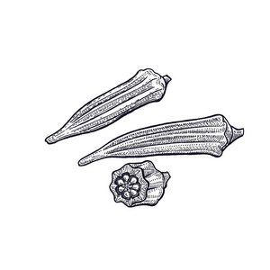 黑色的食谱图片-黑色的食谱素材-黑色的食谱插画-摄图新视界