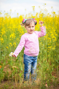 一个小女孩，在一片黄菜籽里和一堆洋甘菊
