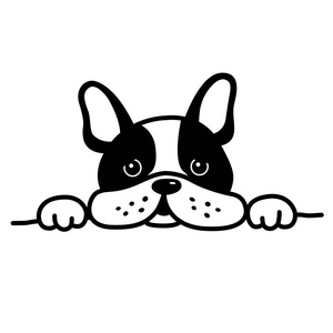 法国斗牛犬矢量狗图示卡通人物白色照片