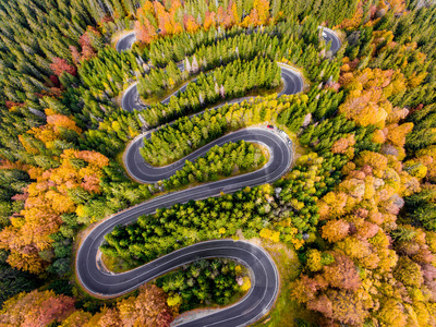 秋天山岭蜿蜒道路的鸟图