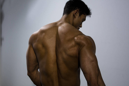 健身模型的背部肌肉