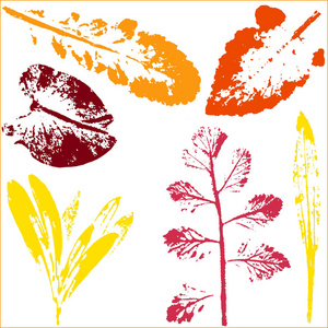 向量枝和叶。手工绘制的花元素。老式单色植物学插图。白色背景上的黑色叶子的印章。生态和生物标志元素