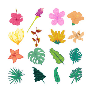 装饰热带花和叶子手绘插图
