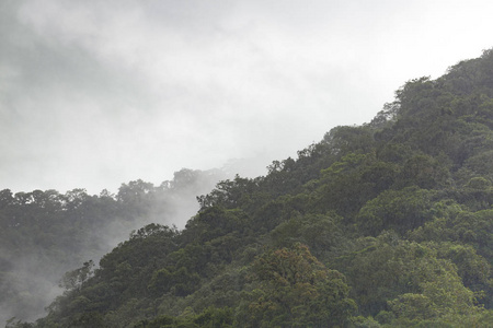 热带森林中的阴雨天气图片