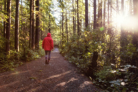 穿着鲜红夹克的女孩在一个充满活力的冬天早晨漫步在美丽的树林里。 摄于加拿大不列颠哥伦比亚省温哥华岛。
