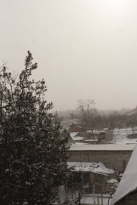 冬季景观。村子里下雪了。欧洲的风暴。
