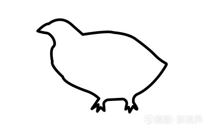 白色背景鹌鹑剪影轮廓插画-正版商用图片11l04i-摄图新视界