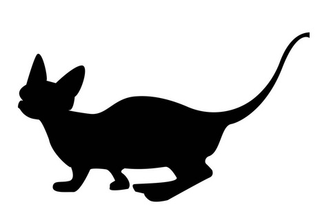 sphynx 猫剪影在白色背景