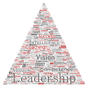 矢量概念业务领导战略管理价值三角形箭头字云孤立背景。 成就成就责任情报机关或能力