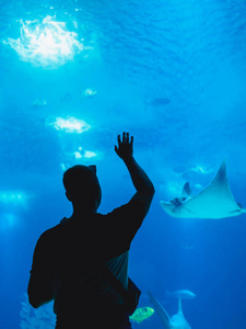 人看鱼通过玻璃在水族馆