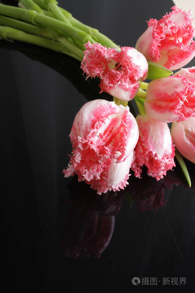 黑色郁金香花语和寓意(黑色郁金香花语和寓意是什么)