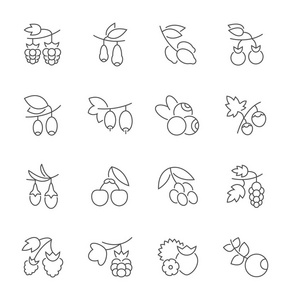 一组简单的浆果图标照片