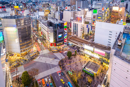 日本东京石布亚城市景观在匆忙的人行横道上。