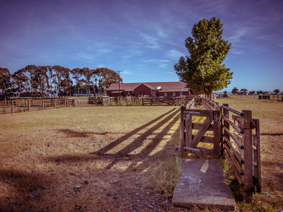 老新西兰牧场在老式颜色调色