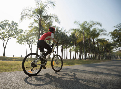 在热带公园骑山地自行车的女自行车