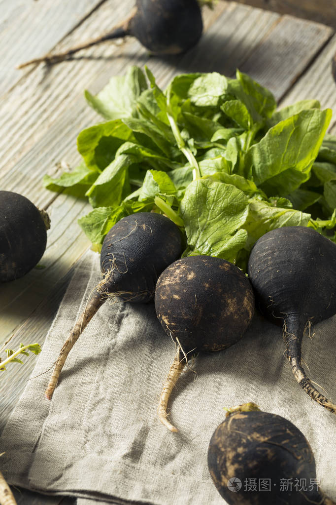 有机生黑萝卜照片-正版商用图片11lptd-摄图新视界