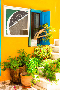 迷人的花卉五颜六色的街道上的老城在纳克索斯岛。希腊