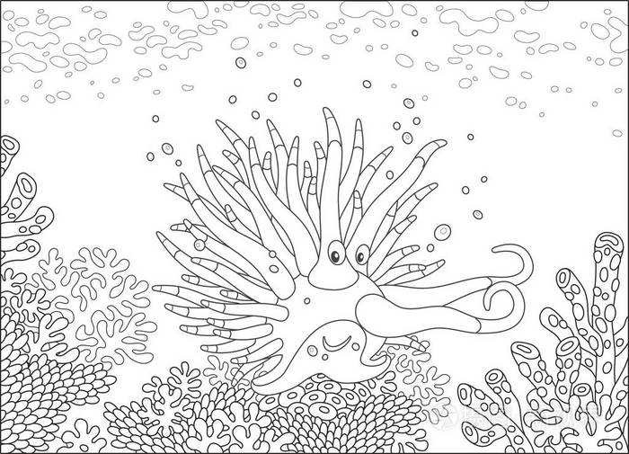 插画 有趣的热带软体动物在珊瑚礁上令人惊叹的珊瑚中,一个黑白矢量
