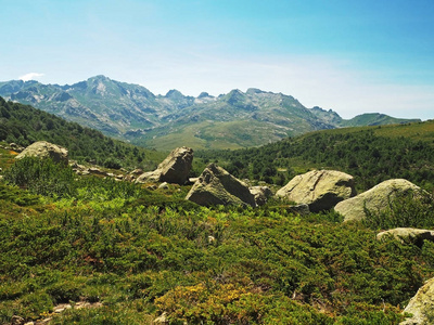 高山风景 corsician 阿尔卑斯风景与锋利的岩石